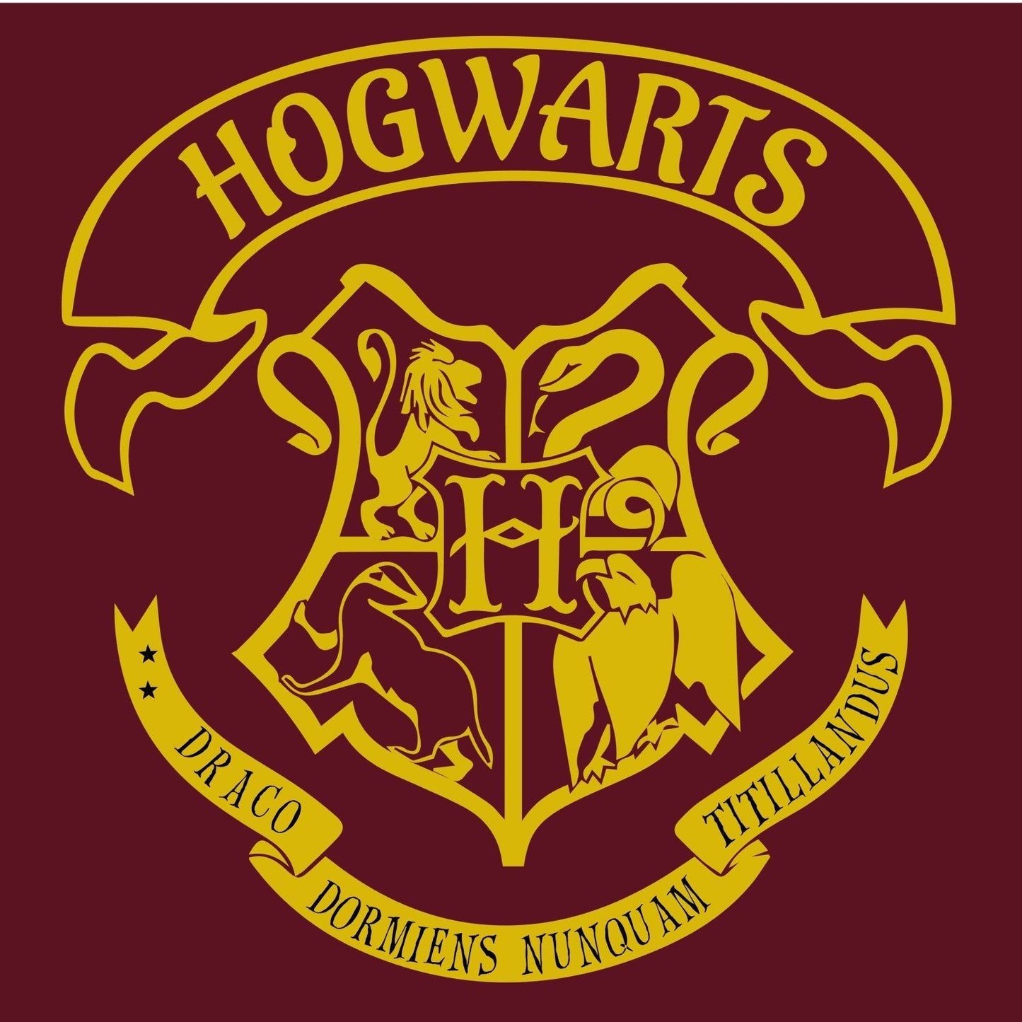 Harry Potter's Birthday Bash - August 5th @ 12pm-3pm (All Ages)