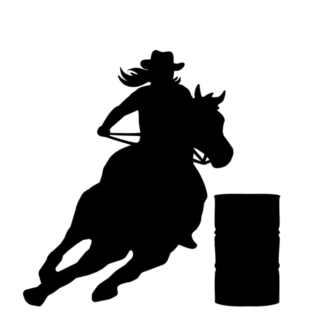 Rodeo Life 10" Youth Door Hanger