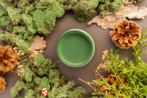 English Ivy Chalk Mineral Paint (NEW COLOR)