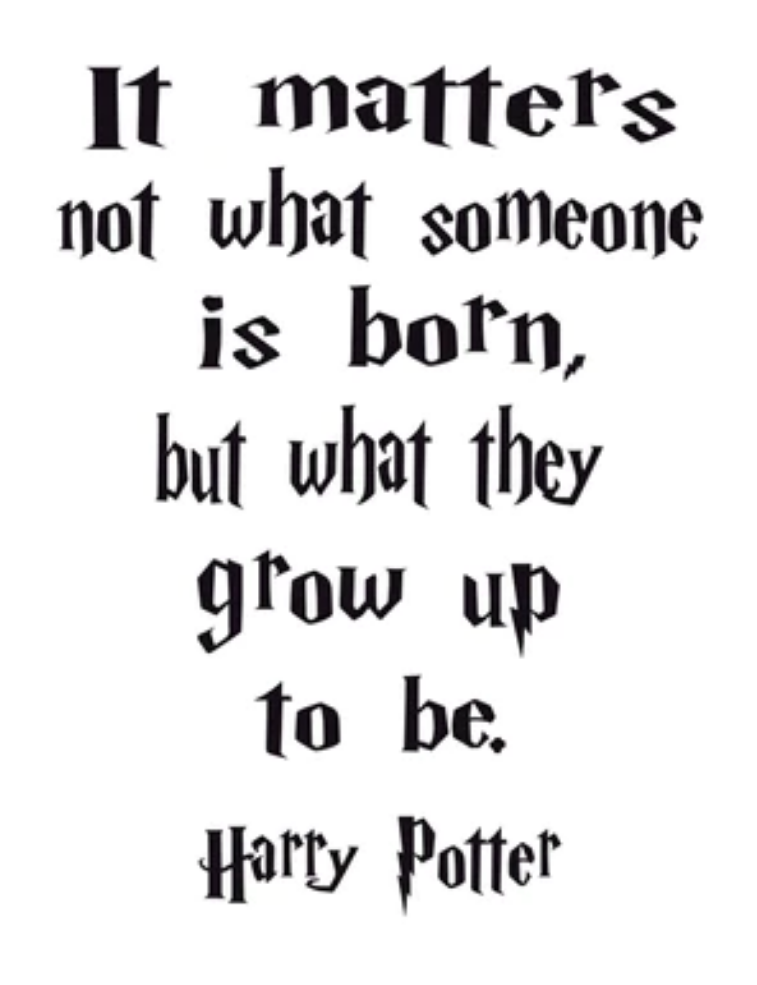Harry Potter's Birthday Bash - August 5th @ 12pm-3pm (All Ages)