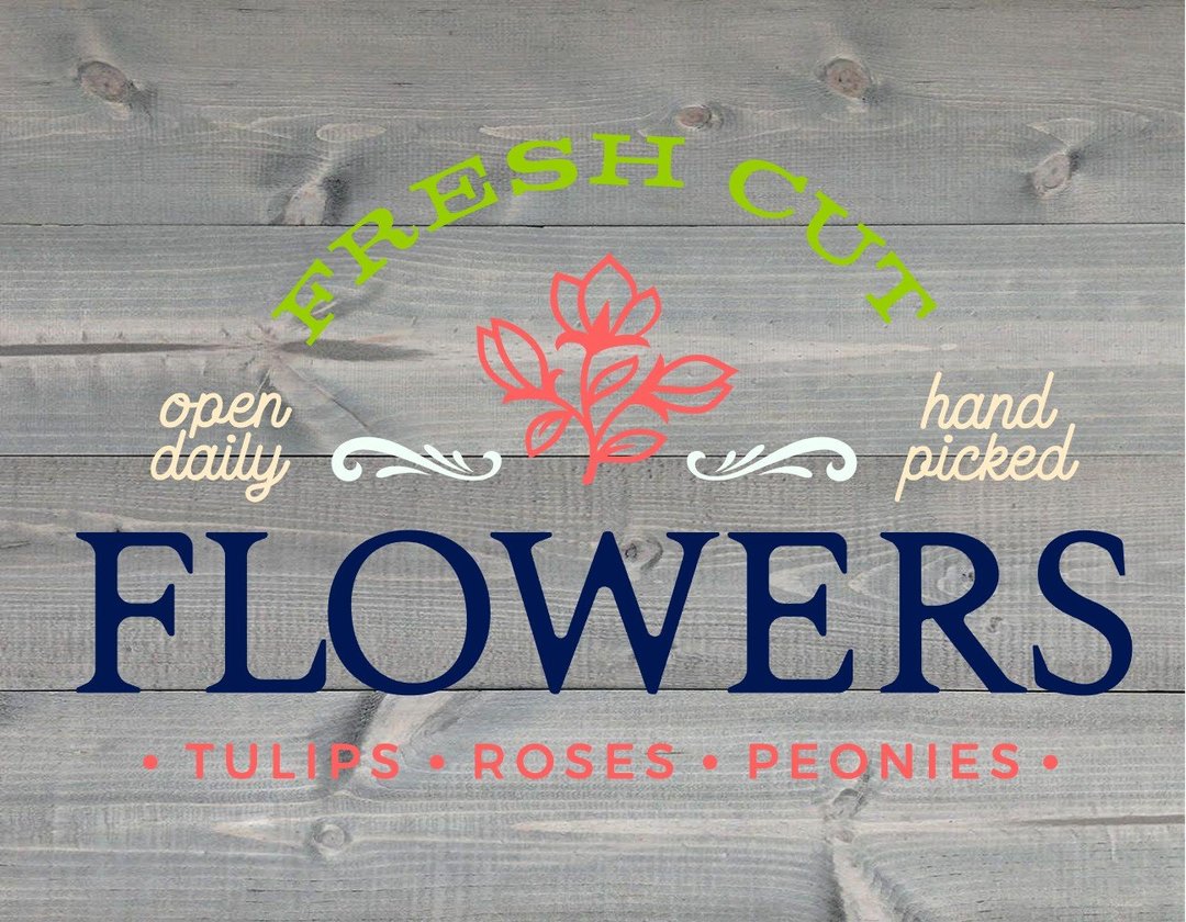 Fresh Cut Flowers - NOCO