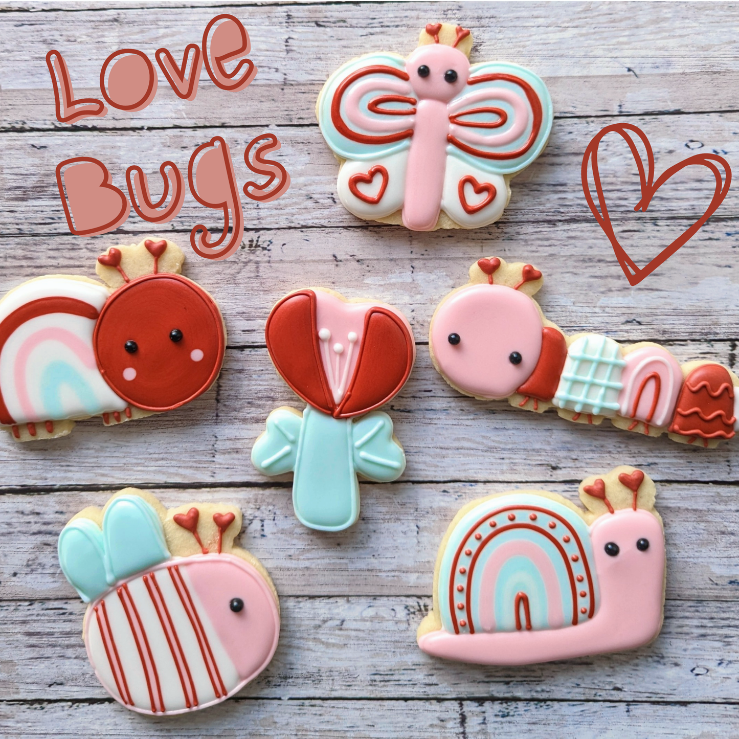 SOLD OUT Royal Icing Cookie Decorating Class - Valentine Love Bugs