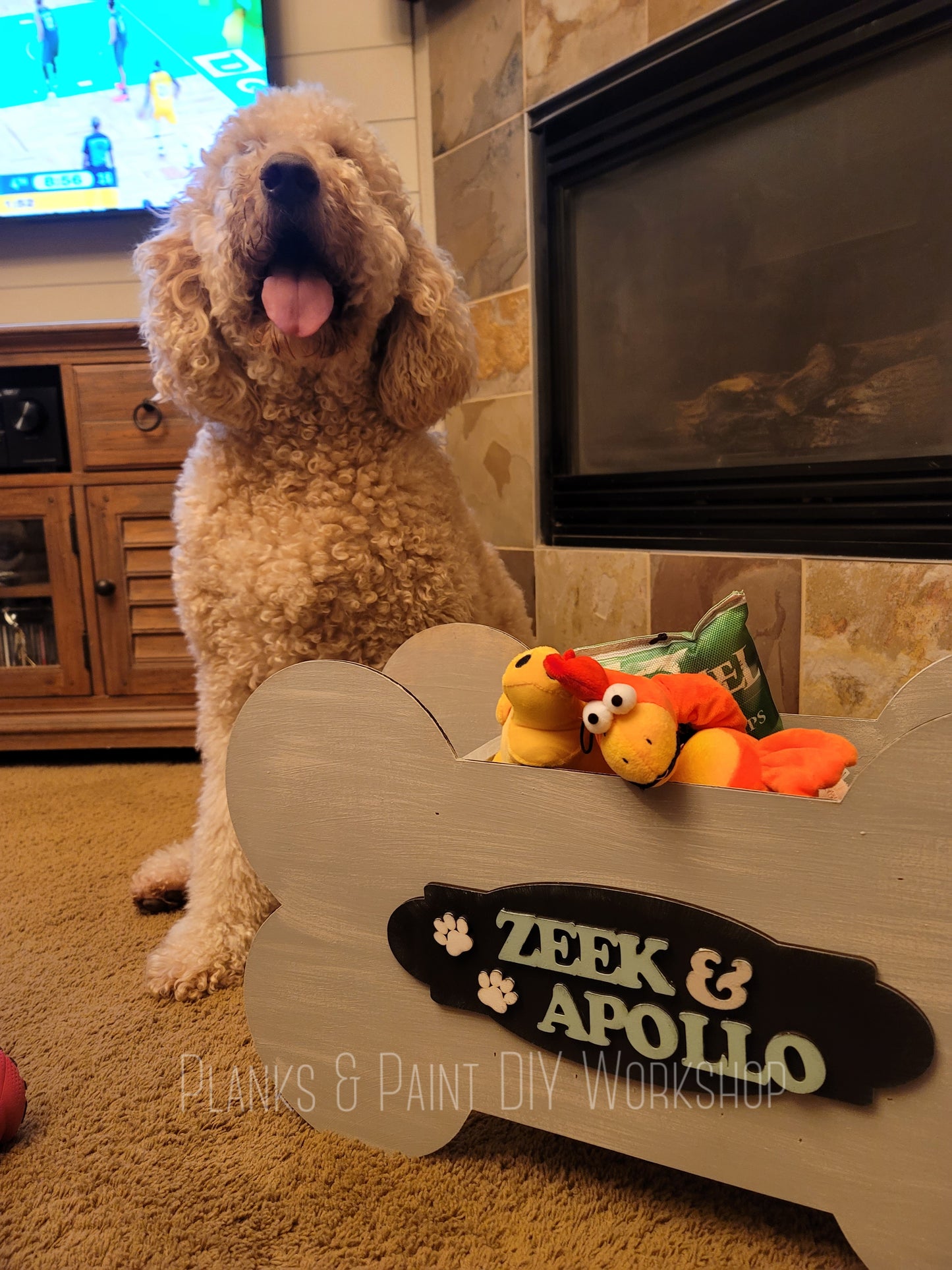 Dog Toy Box