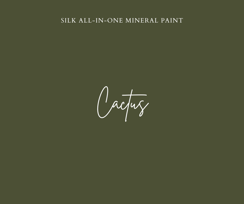 Cactus Silk All-In-One Mineral Paint