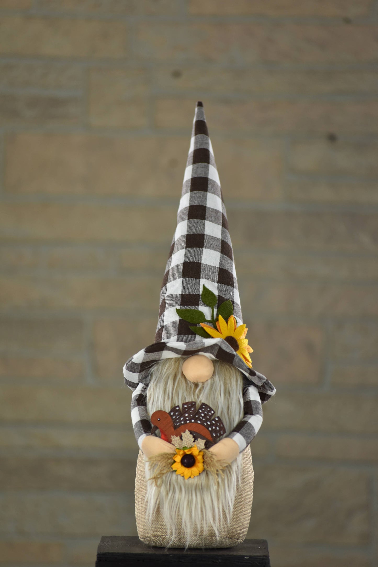 Harry 20in Gnome