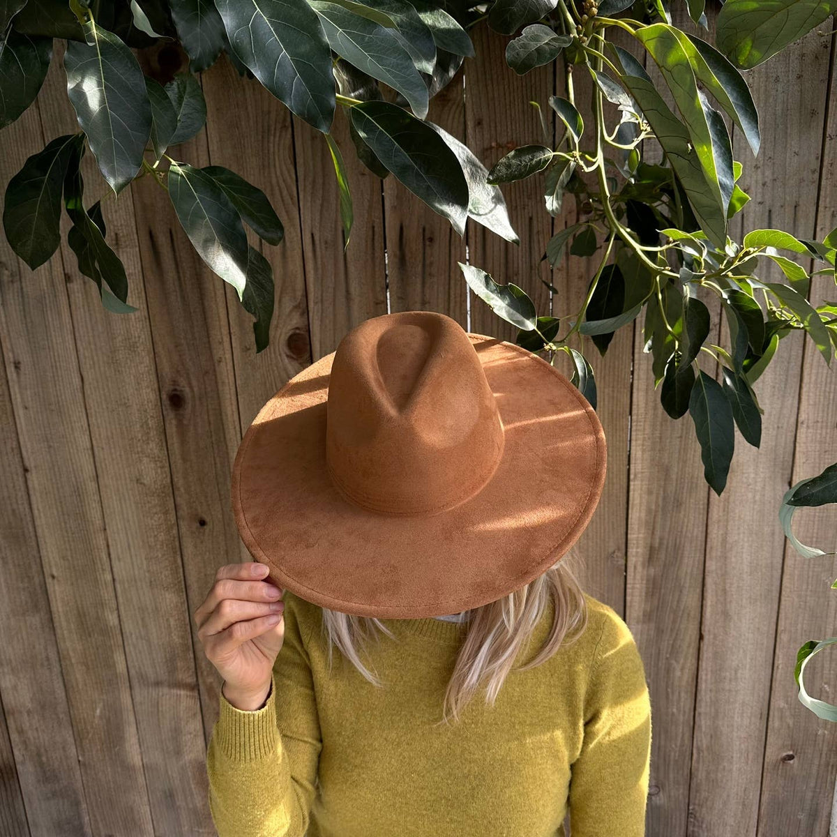 Classic Wide Brim Suede Premium Hat: BROWN / ONE SIZE