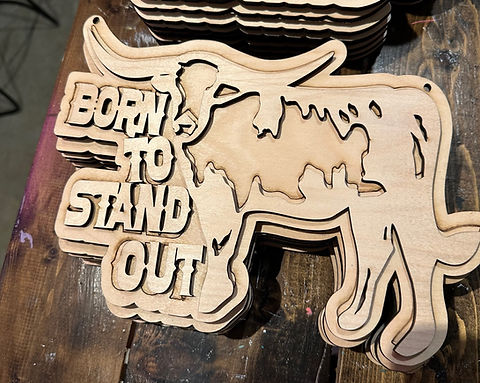 Born to Stand Out Door Hanger (UNFINISHED)