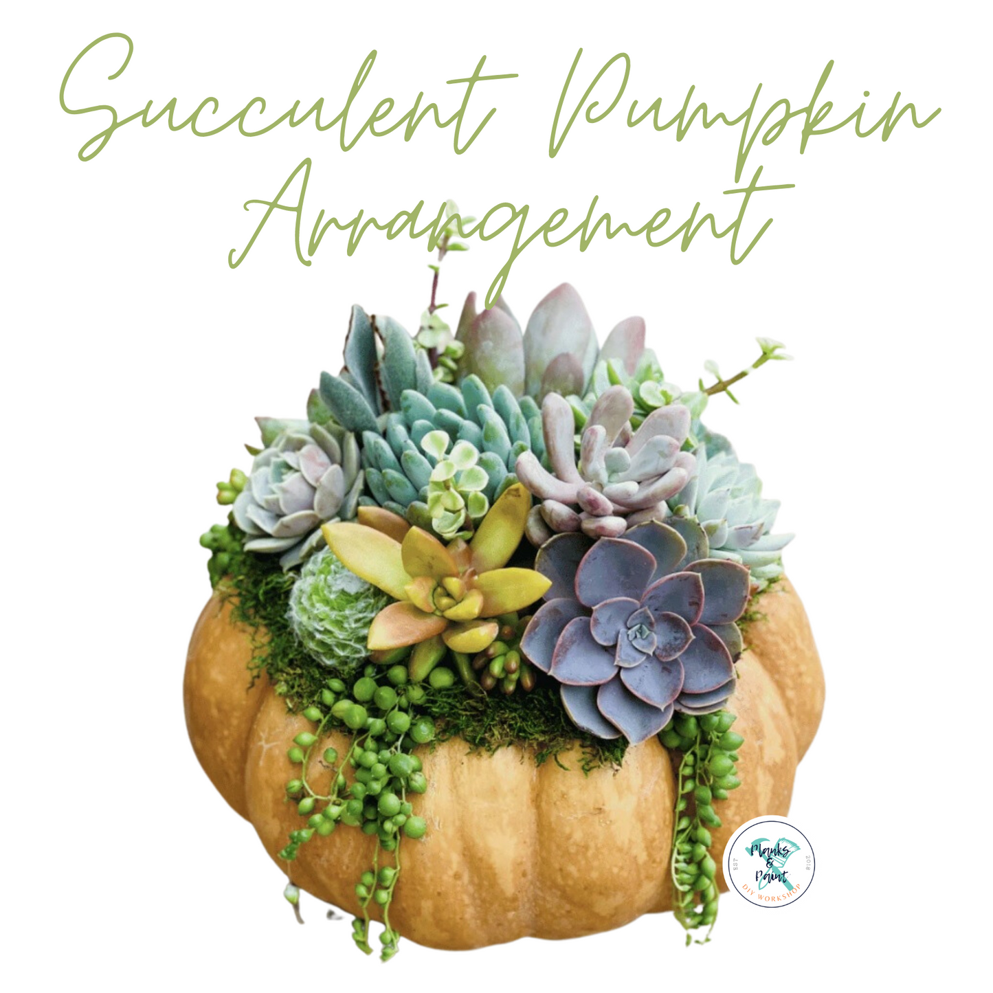 Succulent Pumpkin Arrangement Workshop
