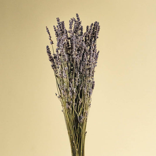 Lavender: 1 bunch (4 oz.)