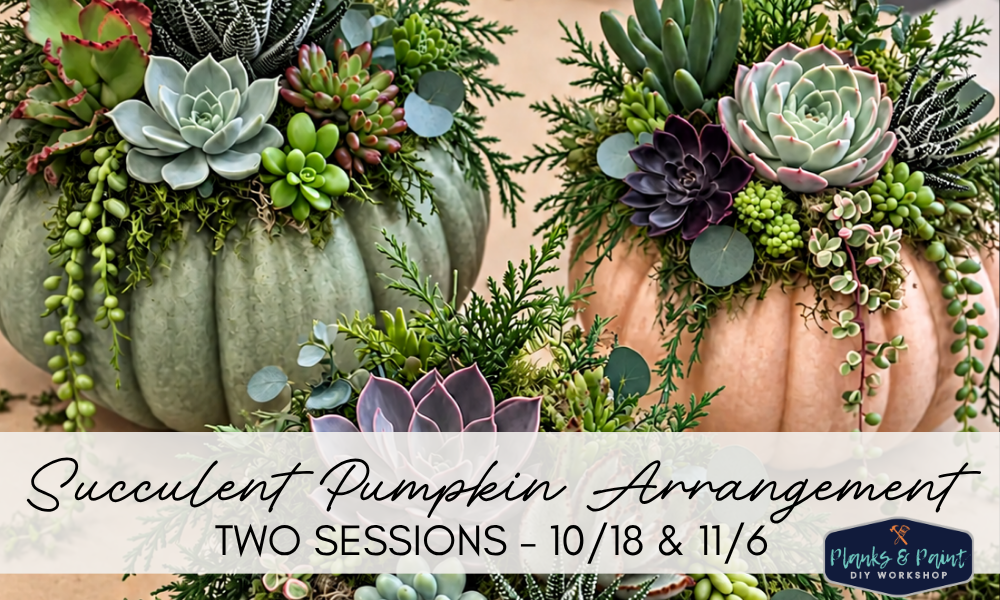 Pumpkin Succulent Workshop - TWO SESSIONS