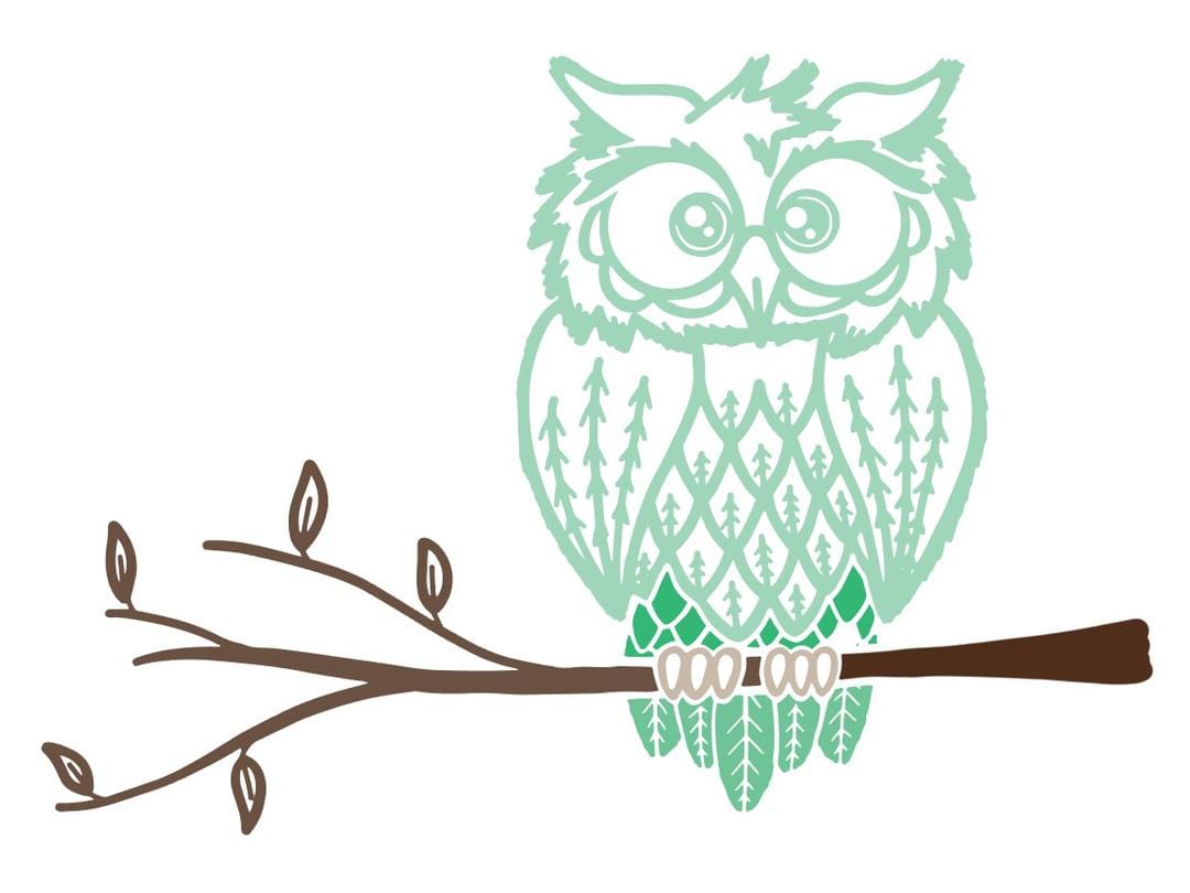 Owl on Branch Youth