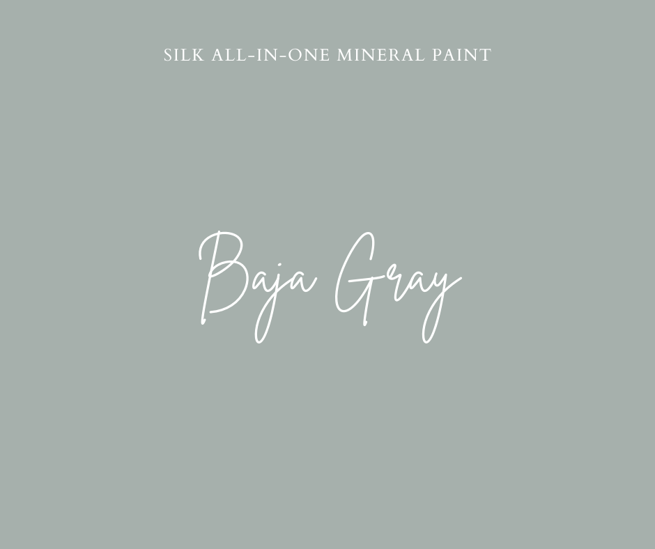Baja Gray Silk All-In-One Mineral Paint
