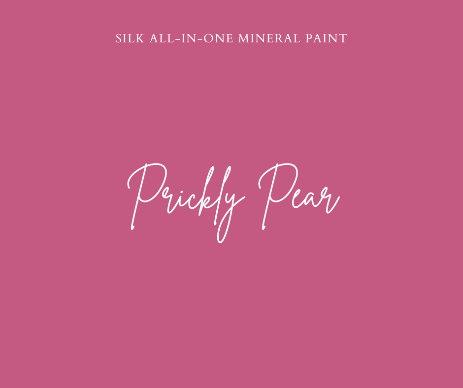 Prickly Pear Silk All-In-One Mineral Paint
